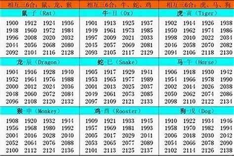 2002生肖五行|2002年出生的属什么,2002年是什么生肖